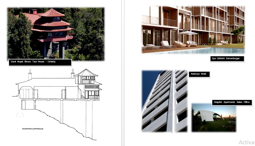 Screenshot 2025-03-12 172017